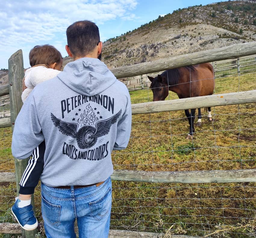 visitando un caballo en un corral